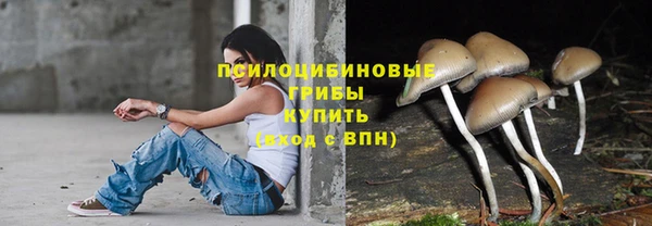 прущий лед Богородицк