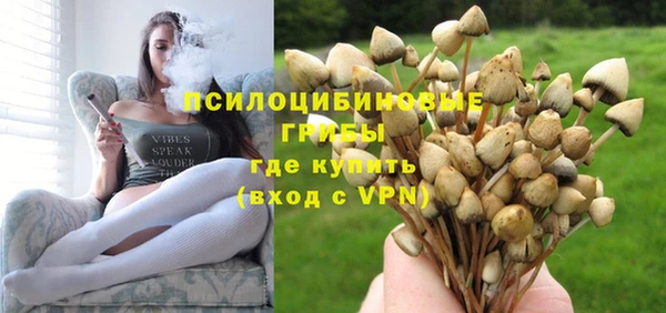 прущая мука Богородск